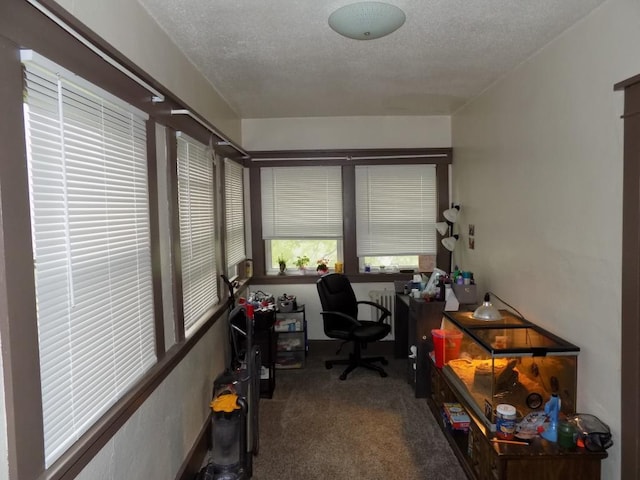 office area with carpet and a textured ceiling