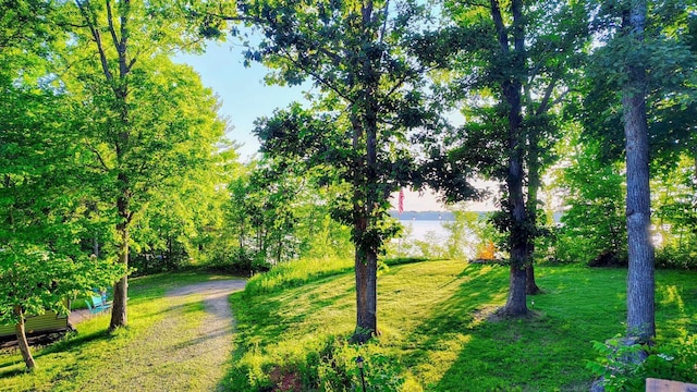 25185 Moreau Rd, Aitkin, MN 56431 - view of community featuring a yard, driveway, and a water view