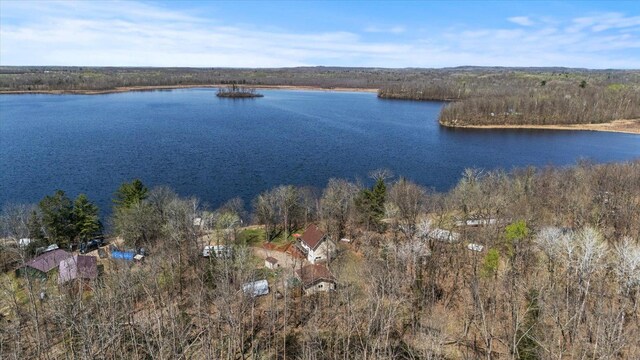 25185 Moreau Rd, Aitkin, MN 56431 - water view with a forest