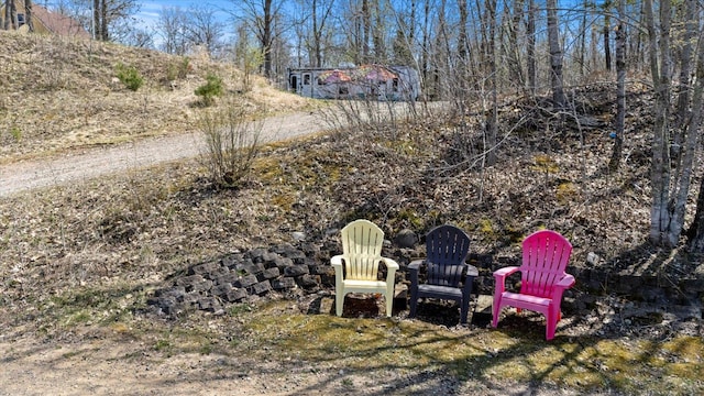 25185 Moreau Rd, Aitkin, MN 56431 - view of yard