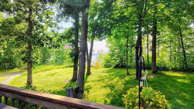 25185 Moreau Rd, Aitkin, MN 56431 - view of grassy yard