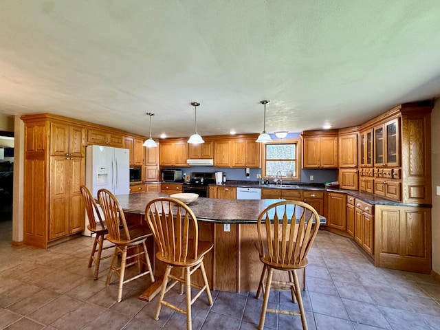 55715 State Highway 11, Warroad, MN 56763 - kitchen with appliances with stainless steel finishes, a sink, dark countertops, under cabinet range hood, and a kitchen island
