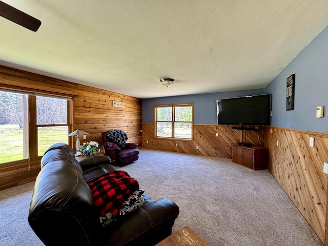 55715 State Highway 11, Warroad, MN 56763 - living room with wood walls, carpet, wainscoting, and a textured ceiling