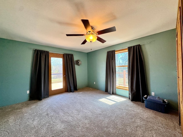 55715 State Highway 11, Warroad, MN 56763 - carpeted spare room with healthy amount of natural light and ceiling fan
