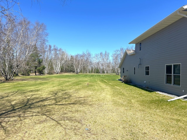 55715 State Highway 11, Warroad, MN 56763 - view of green lawn