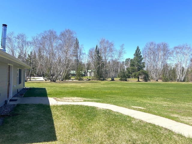 55715 State Highway 11, Warroad, MN 56763 - view of green lawn
