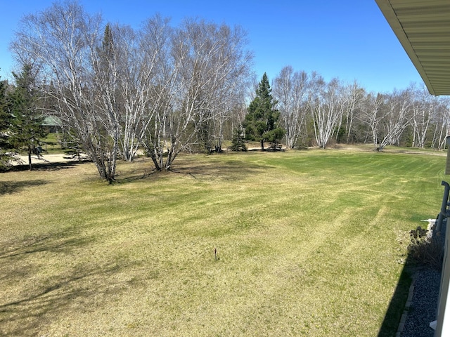 55715 State Highway 11, Warroad, MN 56763 - view of grassy yard
