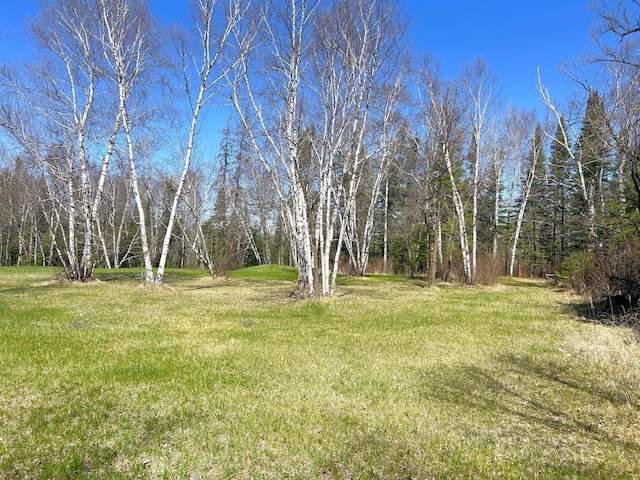 55715 State Highway 11, Warroad, MN 56763 - view of green lawn