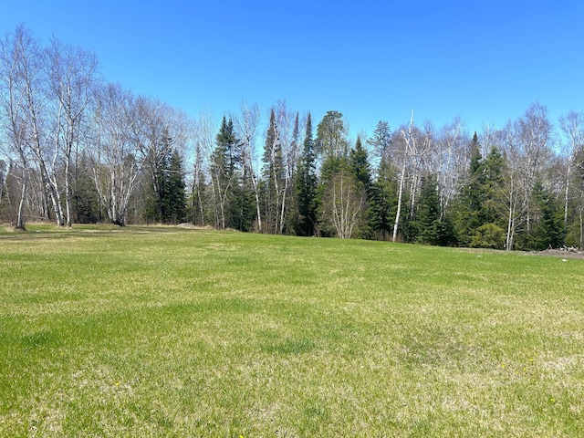 55715 State Highway 11, Warroad, MN 56763 - view of grassy yard