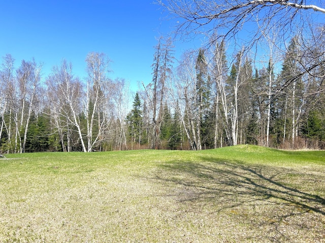 55715 State Highway 11, Warroad, MN 56763 - view of grassy yard