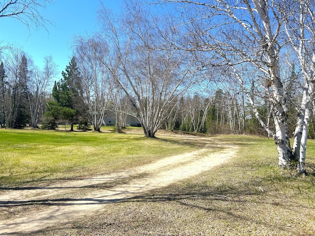 55715 State Highway 11, Warroad, MN 56763 - view of dirt / gravel road