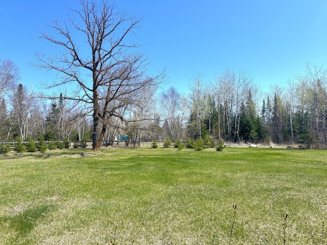 55715 State Highway 11, Warroad, MN 56763 - view of green lawn