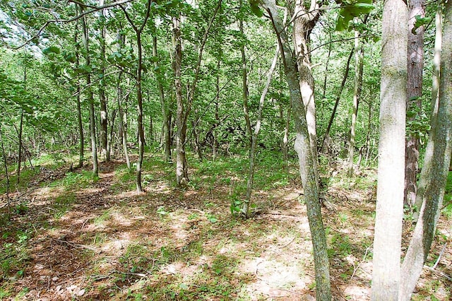 TBD Rognaldson Rd, Brainerd, MN 56401