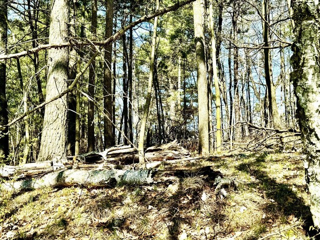 TBD Rognaldson Rd, Brainerd, MN 56401
