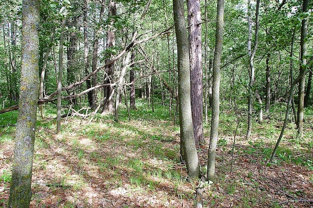 TBD Rognaldson Rd, Brainerd, MN 56401