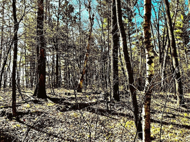 TBD Rognaldson Rd, Brainerd, MN 56401