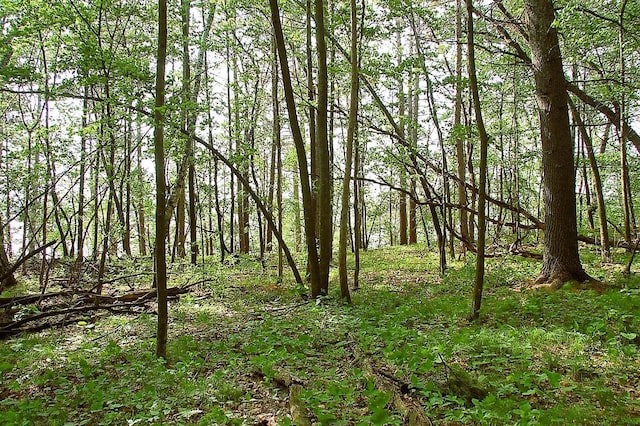 TBD Rognaldson Rd, Brainerd, MN 56401