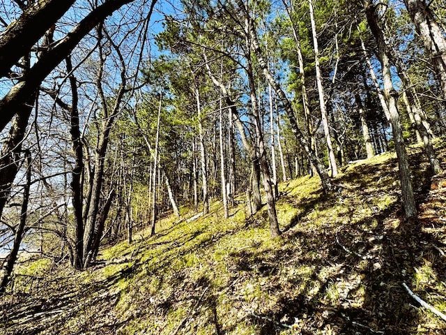 TBD Rognaldson Rd, Brainerd, MN 56401