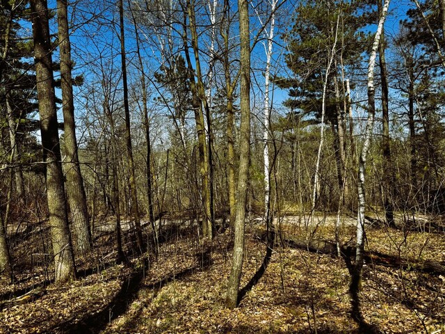 TBD Rognaldson Rd, Brainerd, MN 56401