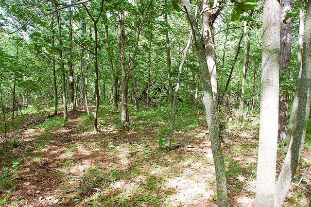 TBD Rognaldson Rd, Brainerd, MN 56401 - photo 5