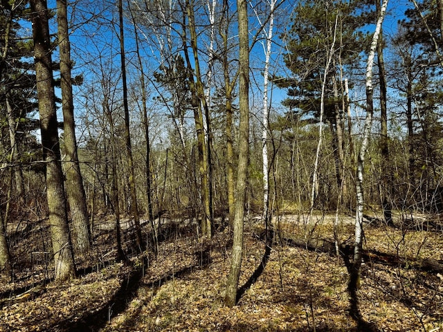 TBD Rognaldson Rd, Brainerd, MN 56401 - photo 13