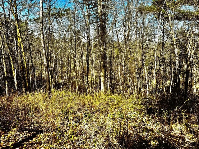 TBD Rognaldson Rd, Brainerd, MN 56401 - photo 14