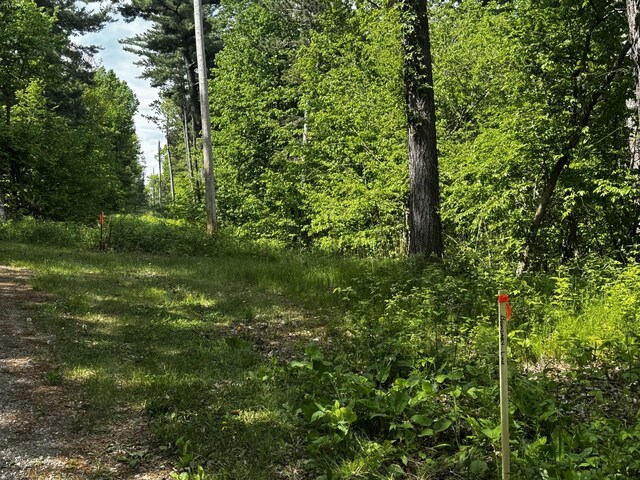 TBD Rognaldson Rd, Brainerd, MN 56401 - photo 15