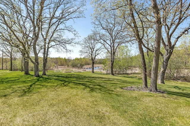 view of green lawn with a water view