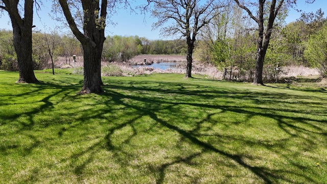 view of green lawn with a water view