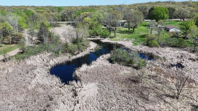 view of woods with a water view
