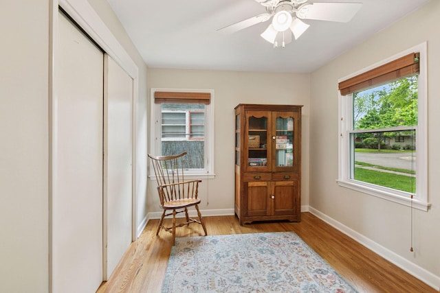 805 California Ave W, Saint Paul, MN 55117 - living area featuring light wood finished floors, ceiling fan, and baseboards