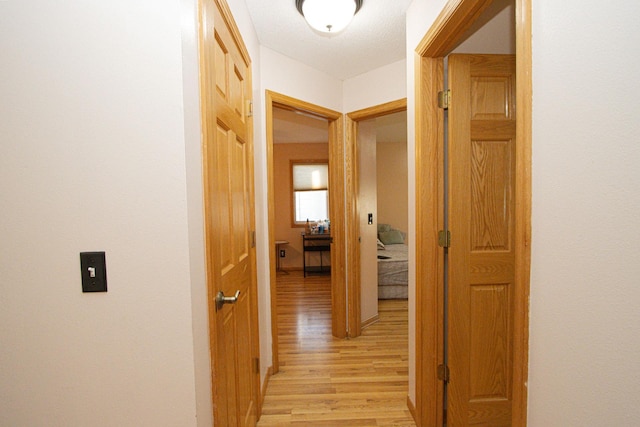 147 Waynesborough Way, Mankato, MN 56001 - hallway featuring light wood finished floors