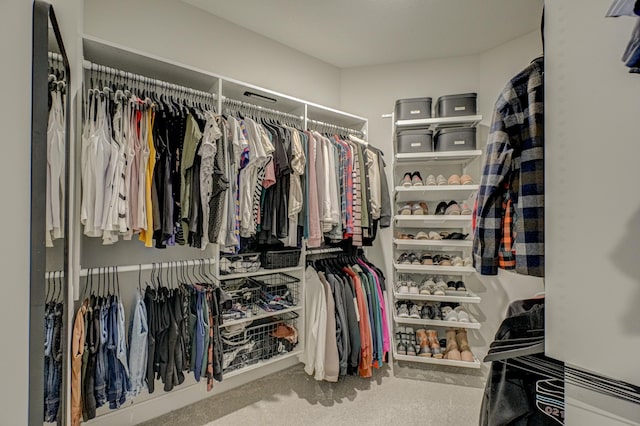 walk in closet with carpet flooring