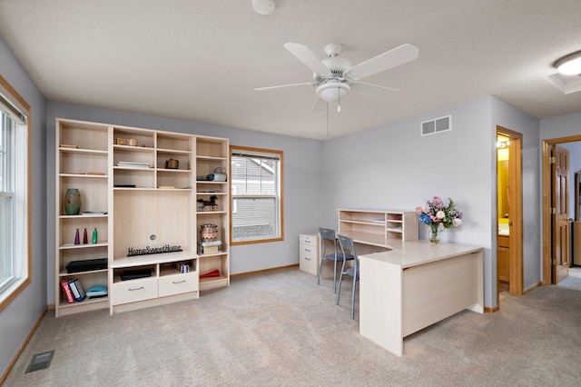 16322 70th Ave N Unit 304, Maple Grove, MN 55311 - home office featuring light carpet, baseboards, a ceiling fan, and a textured ceiling