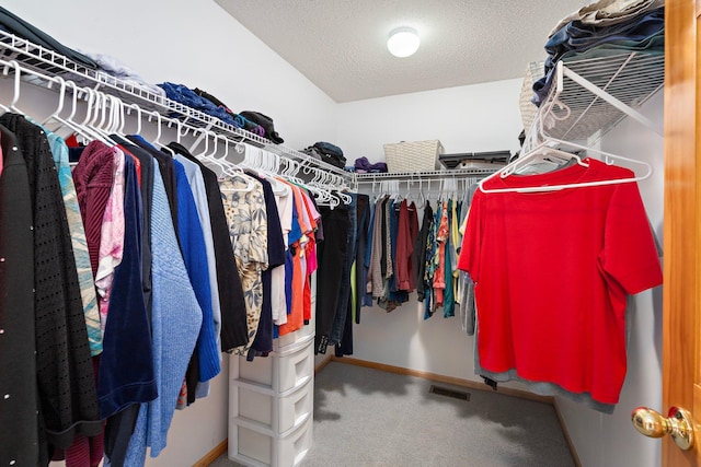 16322 70th Ave N Unit 304, Maple Grove, MN 55311 - walk in closet with carpet flooring