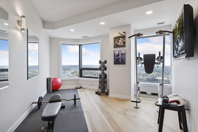 workout area with wood finished floors, plenty of natural light, recessed lighting, and baseboards
