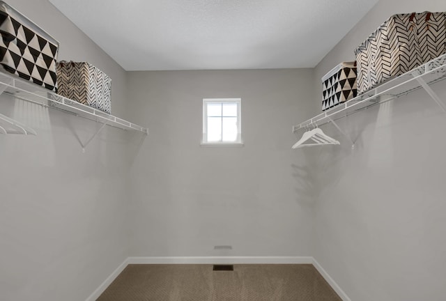 19307 Colonial Trl, Farmington, MN 55024 - spacious closet featuring carpet floors