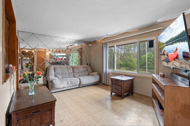 8251 158th Ln NW, Ramsey, MN 55303 - living room with a textured ceiling and baseboards