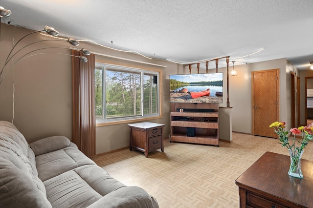 8251 158th Ln NW, Ramsey, MN 55303 - living room with a textured ceiling and baseboards