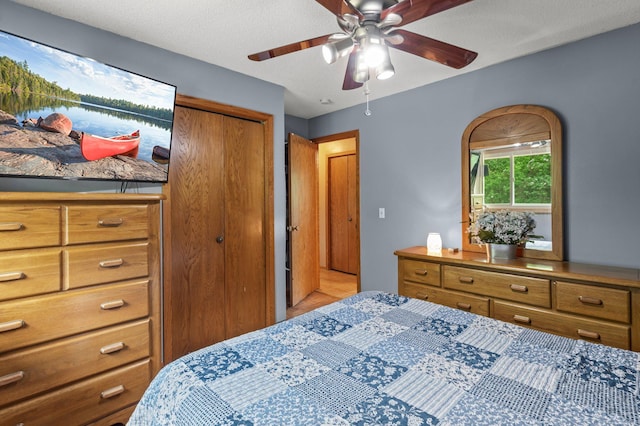 8251 158th Ln NW, Ramsey, MN 55303 - bedroom with a ceiling fan and a closet