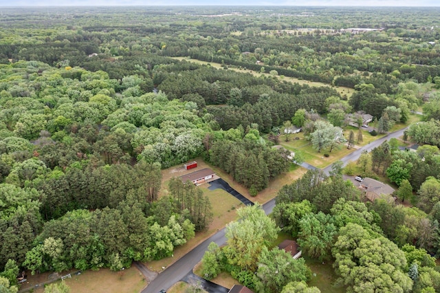 8251 158th Ln NW, Ramsey, MN 55303 - aerial view of a forest