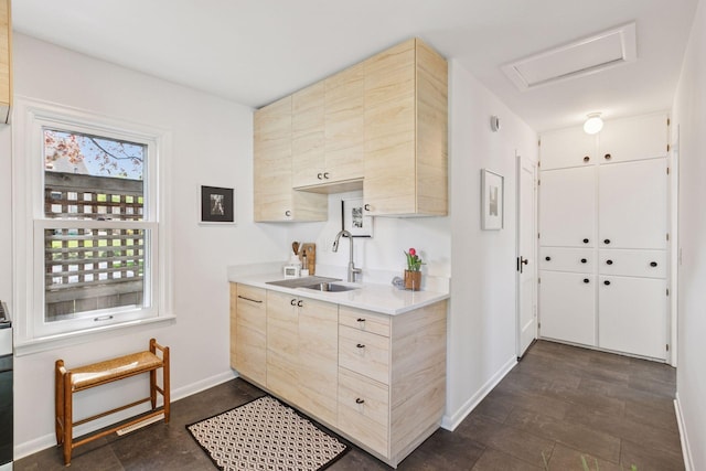 bar area featuring a sink and baseboards