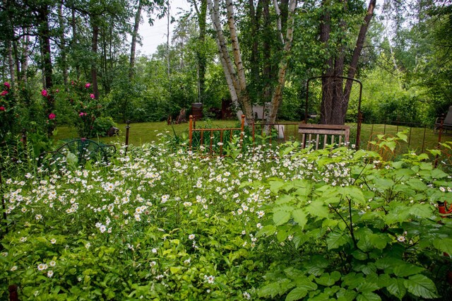 39437 County Road 3, Fifty Lakes, MN 56442 - photo 40
