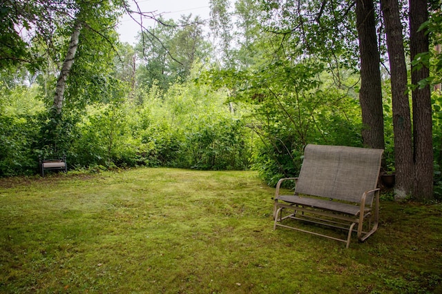 39437 County Road 3, Fifty Lakes, MN 56442 - photo 41