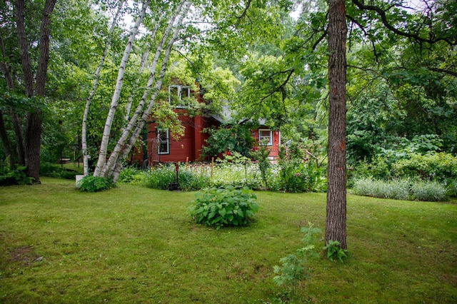 39437 County Road 3, Fifty Lakes, MN 56442 - photo 42