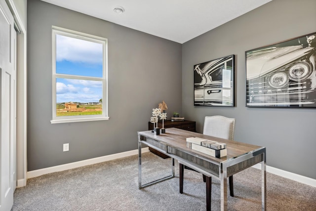 22654 Isla Way, Rogers, MN 55374 - office space with carpet floors and baseboards