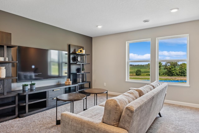 22654 Isla Way, Rogers, MN 55374 - living area featuring carpet flooring, baseboards, and recessed lighting