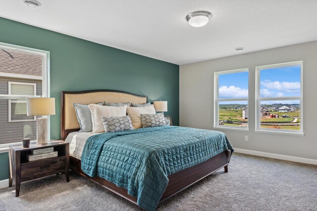 22654 Isla Way, Rogers, MN 55374 - bedroom with baseboards and carpet flooring