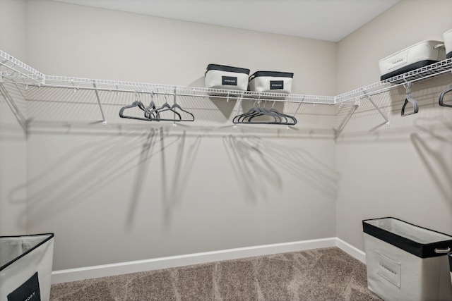 22654 Isla Way, Rogers, MN 55374 - walk in closet with carpet