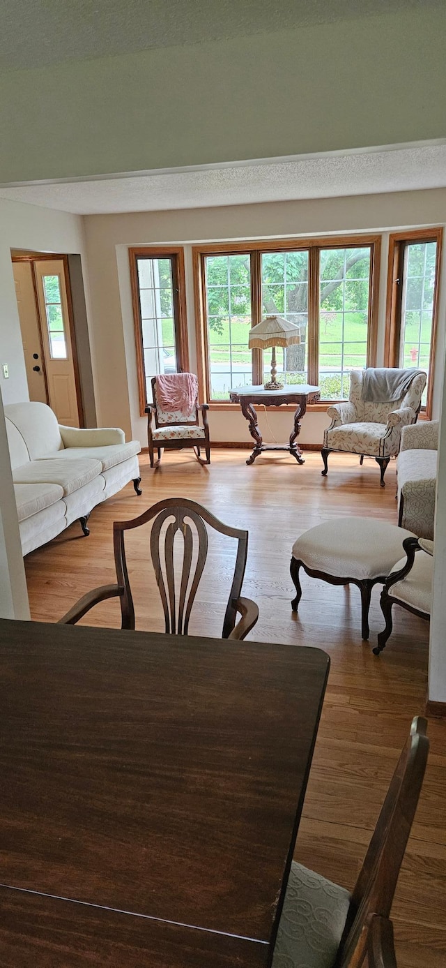 14092 Dearborn Path, Rosemount, MN 55068 - living area with wood finished floors